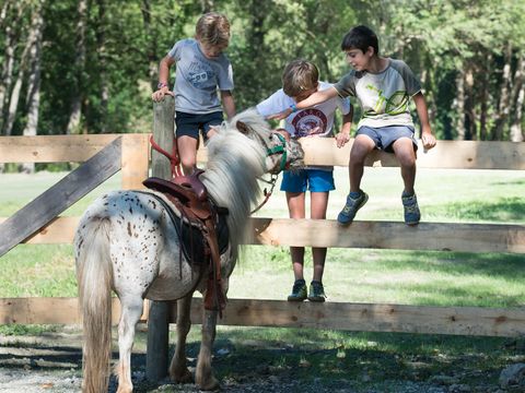 Camping Verneda - Camping Lleida - Image N°7