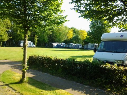 Camping de Zwammenberg - Camping Pays-Bas - Image N°3