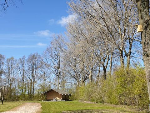 Camping de Breede - Camping Pays-Bas - Image N°28