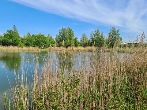 Camping de Breede - Camping Pays-Bas - Image N°30