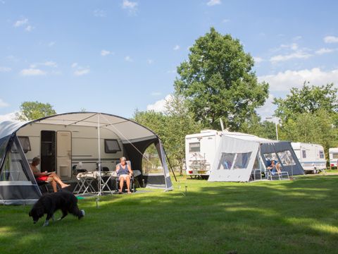 Camping de Haer - Camping Pays-Bas - Image N°4