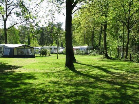 Camping de Haer - Camping Pays-Bas - Image N°30