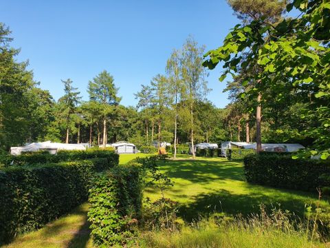 Camping het Horstmansbos - Camping Pays-Bas - Image N°44