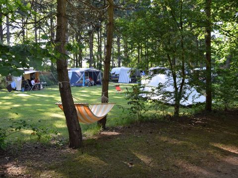Camping het Horstmansbos - Camping Pays-Bas - Image N°7