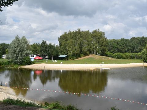Recreatiepark Westerkwartier - Camping Pays-Bas - Image N°10
