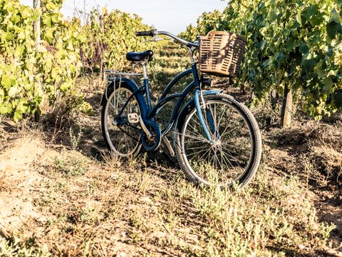 Camping Romanée - le Cormoran - Camping Charente-Maritime - Image N°56