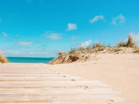 Camping Romanée - le Cormoran - Camping Charente-Maritime - Image N°47