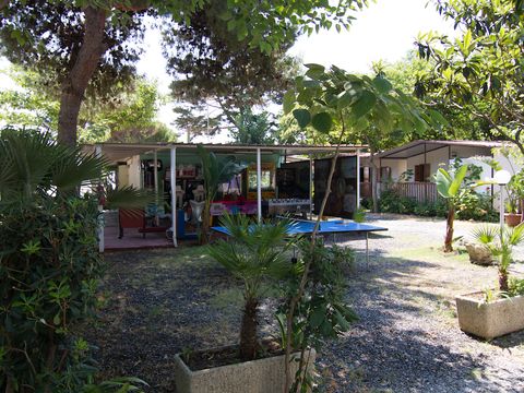 Camping La Focetta Sicula - Camping Messine - Image N°14