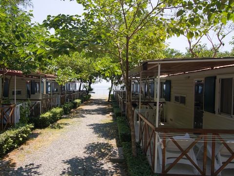 Camping La Focetta Sicula - Camping Messine - Image N°25