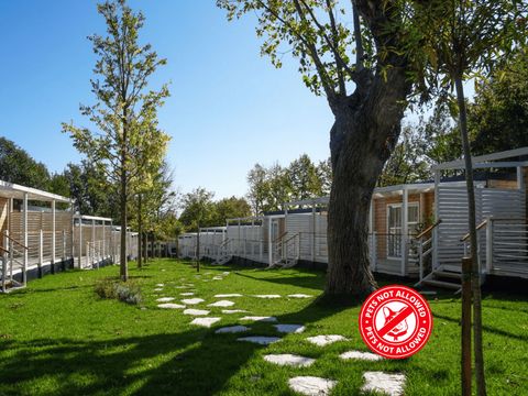 MOBILHOME 5 personnes - Maxicaravan SUPERIOR RELAX