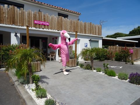 Fram Camping Sélection Les Flamants Roses - Camping Pyrenees-Orientales - Image N°12