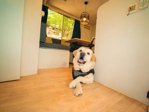 MOBILHOME 5 personnes - Cottage Classic