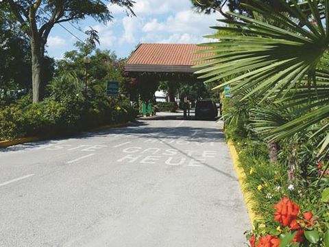 Camping Spiaggia e Mare - Camping Ferrare - Image N°12