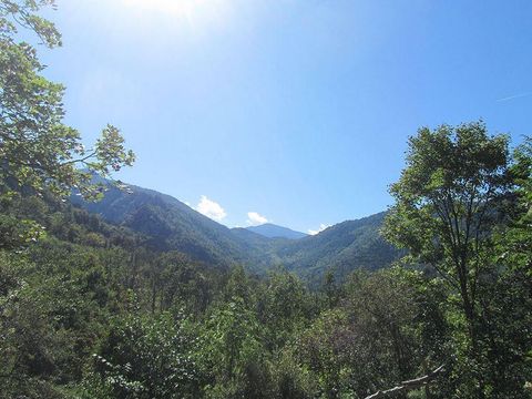 Camping Domaine Saint Martin - Camping Pyrenees-Orientales - Image N°13