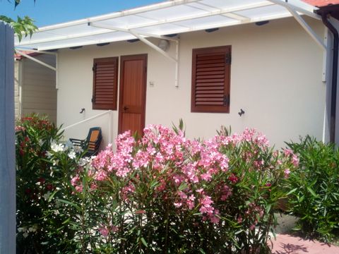 MOBILHOME 2 personnes - OLEANDRI