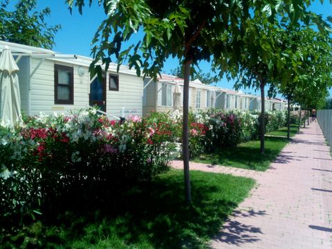 MOBILHOME 5 personnes - OLEANDRI TRILO