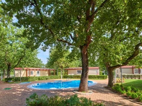 MOBILHOME 4 personnes - Superior Mobile Home Pool View
