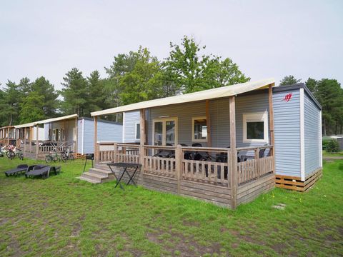 Camping de Schatberg - Camping Horst an der Maas - Image N°23