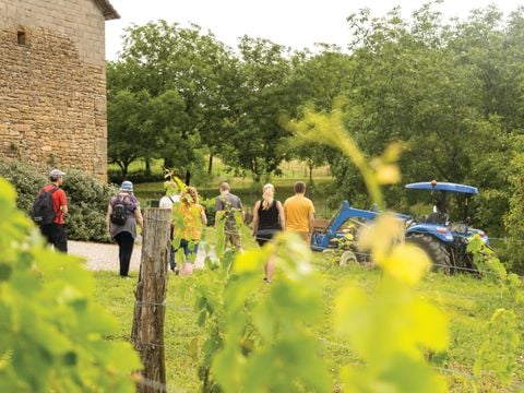 Club Belambra Les Portes de Dordogne - Camping Lot
