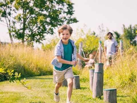 Summio Vakantiepark Zeedijk - Camping Goeree-Overflakkee - Image N°3