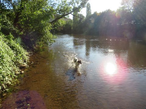 Camping La Salvinie - Camping Dordogne - Image N°35