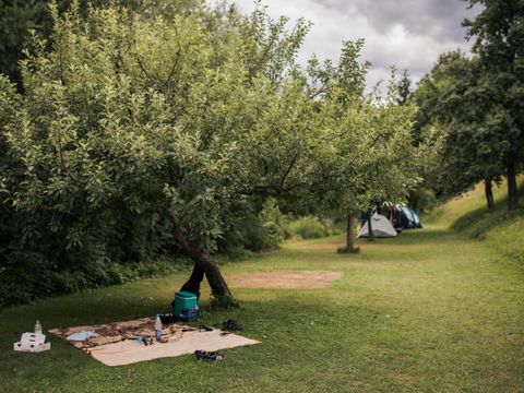 Camping NaturPlac Na Skali - Camping Slovenie - Image N°8