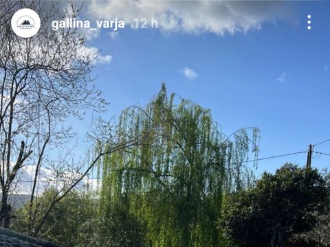 CHALET 2 personnes - PETIT - petit déjeuner, draps et linge inclus - sanitaire communs