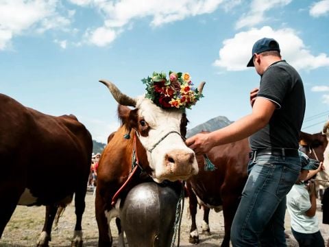 Résidence Goélia Le Grand Ermitage - Camping Haute-Savoie - Image N°3