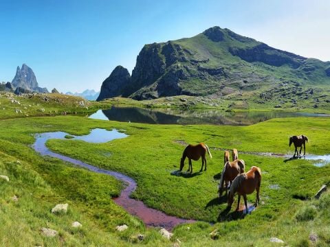 Résidence Goélia Les Grands Ax - Camping Ariège - Image N°5