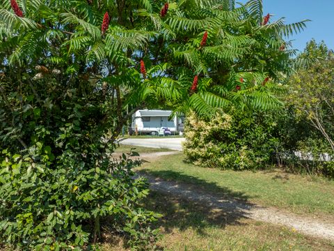 Camping du Plan d'Eau - Camping Charente - Image N°9