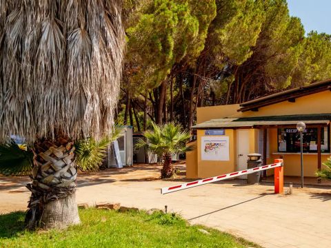 Camping Le Cernie - Camping Ogliastra - Image N°7