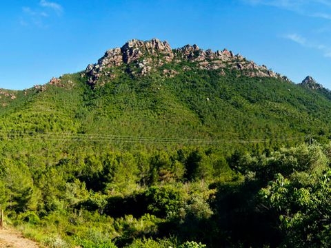 Camping Bonterra Resort - Camping Castellón - Image N°26