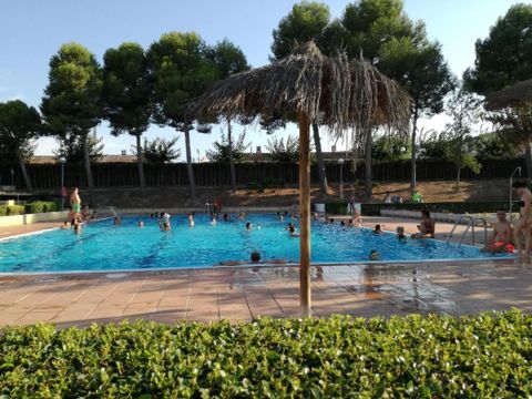 Camping Fayón Fishing - Camping Saragosse - Image N°2