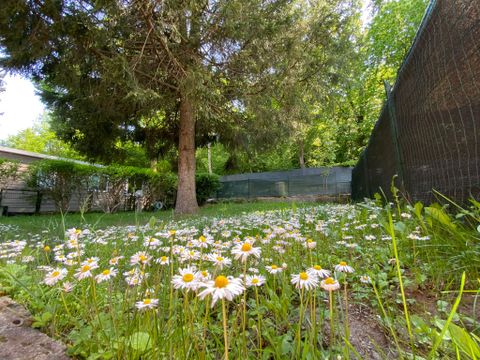 CHALET 5 personnes - Chalet Arancio