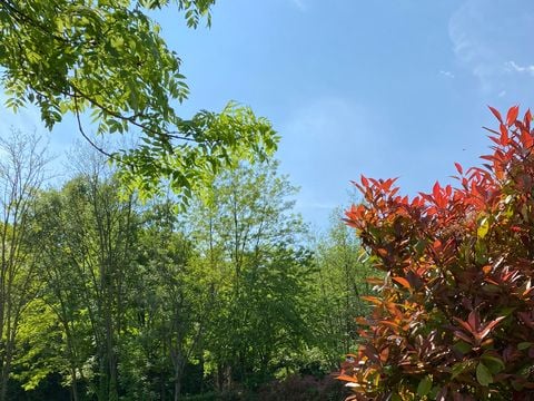 Camping Montorfano - Camping Côme - Image N°32