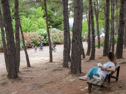 TAIGA Lake Caspe - Camping Saragosse - Image N°14