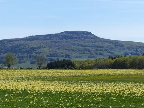 Domaine des Vans - Camping Ardèche
