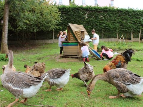 Village L'Ecrin Normand - Camping Seine-Maritime - Image N°6
