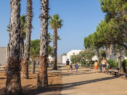 Club Belambra Les Ayguades - Camping Aude - Image N°16