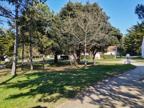 Résidence Les Sables Vignier  - Camping Charente-Maritime - Image N°4