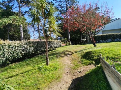 Résidence Les Sables Vignier  - Camping Charente-Maritime - Image N°3