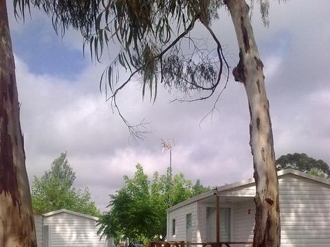 Camping Evora - Camping Alentejo - Image N°20