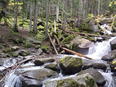 Aigüestortes Càmping Resort - Camping Lleida - Image N°41