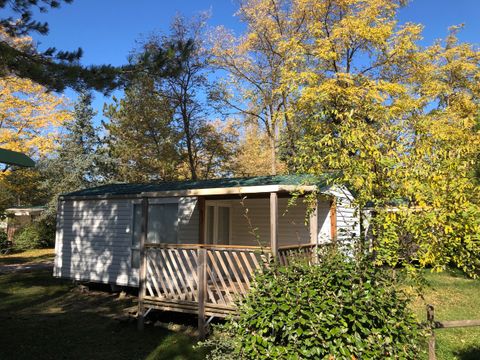 MOBILHOME 4 personnes - Dauphin (Privilège) - 26m² 2 Chambres