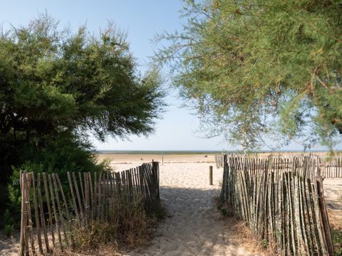 Routes du Monde - Camping de La Hume - Camping Gironde - Image N°11