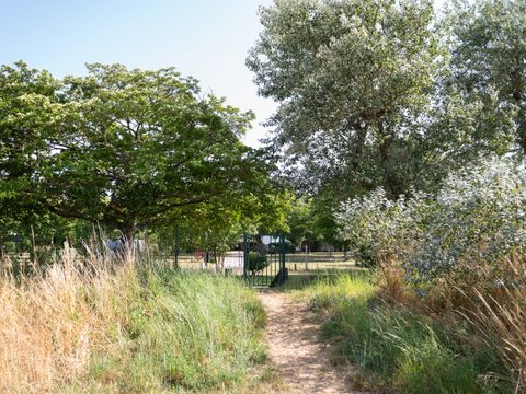 Routes du Monde - Camping de La Hume - Camping Gironde - Image N°10