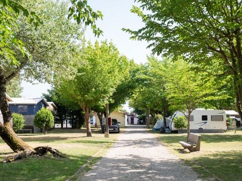 Routes du Monde - Camping de La Hume - Camping Gironde - Afbeelding N°4