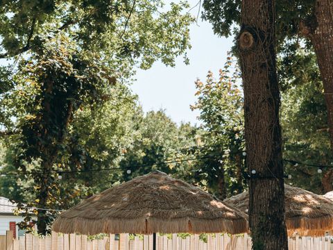 Routes du Monde - Camping l'Orée des Bois Saint-Pierre d'Oléron - Camping Charente-Maritime - Image N°8