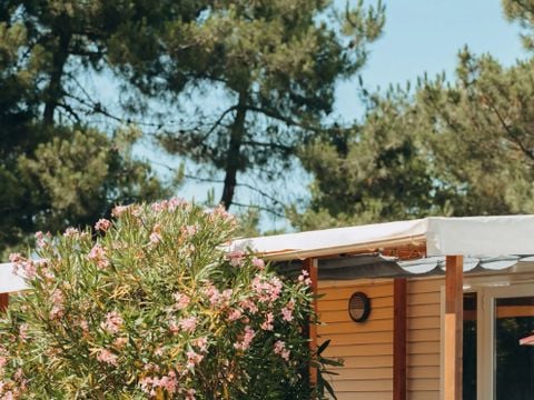 MOBILHOME 4 personnes -  4 Confort