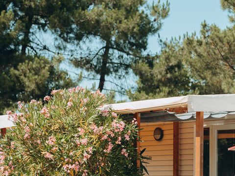 Routes du Monde - Camping l'Orée des Bois Saint-Pierre d'Oléron - Camping Charente-Maritime - Image N°13